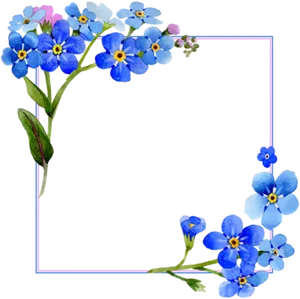 Blue Forget Me Not Floral Frame PNG image