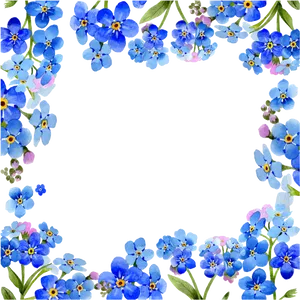 Blue Forget Me Not Floral Frame PNG image