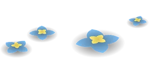 Blue Forget Me Nots Black Background