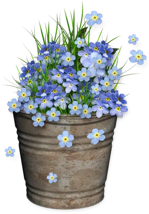 Blue Forget Me Notsin Rustic Pot PNG image