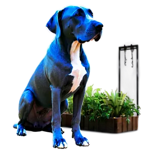 Blue Great Dane Png 29 PNG image