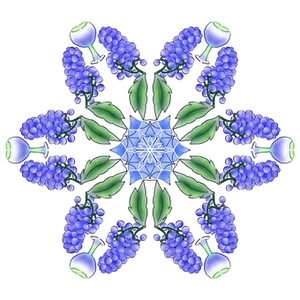Blue Green Floral Mandala PNG image
