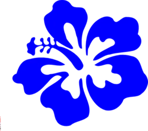 Blue Hawaiian Hibiscus Graphic PNG image