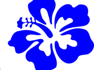 Blue Hawaiian Hibiscus Graphic PNG image