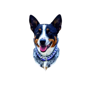 Blue Heeler At Beach PNG Arx
