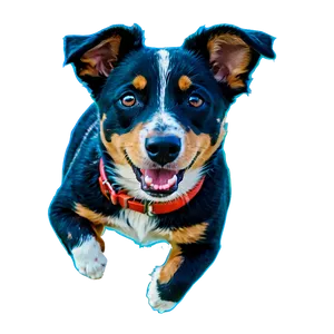 Blue Heeler At Play PNG Fir