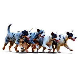 Blue Heeler Herding Png 06282024 PNG image