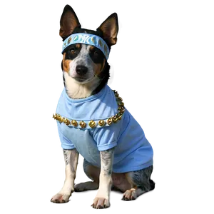 Blue Heeler In Costume PNG 70 PNG