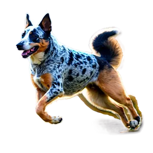 Blue Heeler Running PNG Har78 PNG