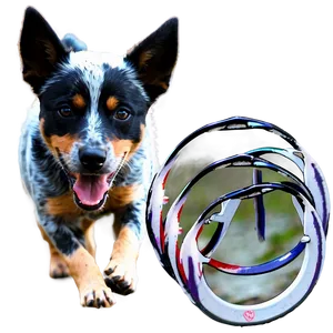 Blue Heeler With Frisbee PNG 44