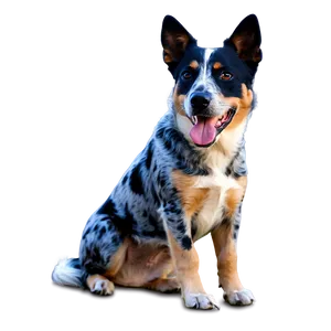 Blue Heeler With Frisbee PNG Ncd48 PNG