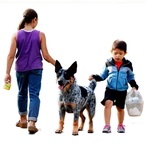Blue Heeler With Kids PNG 06282024
