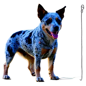 Blue Heeler With Kids PNG 06282024