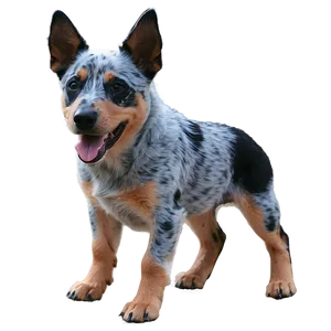 Blue Heeler With Puppies Png Htv PNG image