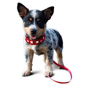 Blue Heeler With Ribbon PNG 06282024