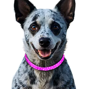 Blue Heeler With Ribbon PNG Rdt