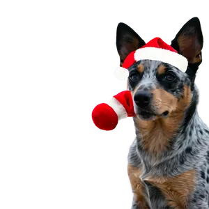 Blue Heeler With Santa Hat PNG Anq45 PNG