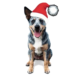Blue Heeler With Santa Hat PNG Xon PNG