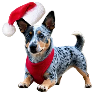 Blue Heeler With Santa Hat PNG Ysd PNG