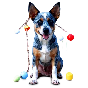 Blue Heeler With Toys PNG 24