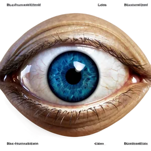 Blue Humanoid Eyes PNG Xbm PNG