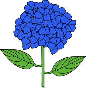 Blue Hydrangea Vector Illustration PNG image