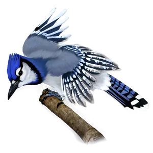 Blue Jay Bird PNG Wcq