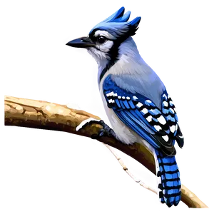 Blue Jay Close-up PNG Tie