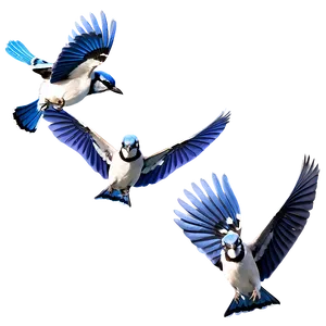 Blue Jay Flock In Sky PNG Qht69 PNG