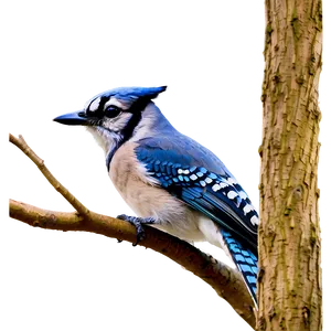 Blue Jay In Spring Png 06262024 PNG image