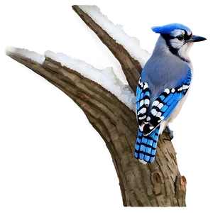 Blue Jay In Spring Png Unb PNG image