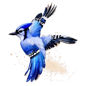 Blue Jay In Watercolor Splash PNG Adc3 PNG