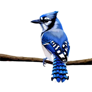 Blue Jay In Winter Scene PNG 39