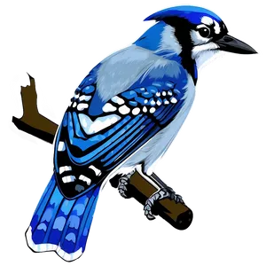 Blue Jay Vector Art PNG 7