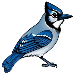 Blue Jay Vector Art Png Bpj PNG image