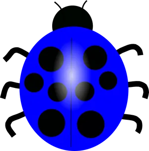 Blue Ladybug Silhouette PNG image