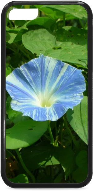 Blue Morning Glory Phone Case Design PNG image