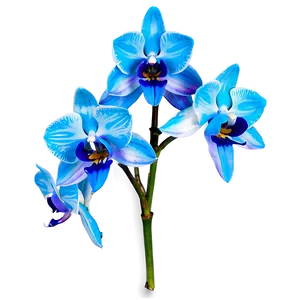 Blue Orchid PNG 05242024