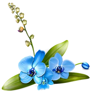 Blue Orchid PNG Dbh