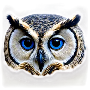 Blue Owl Eyes PNG Ntw20 PNG