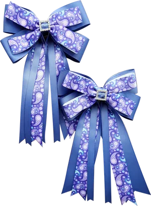 Blue Paisley Hair Bows PNG image