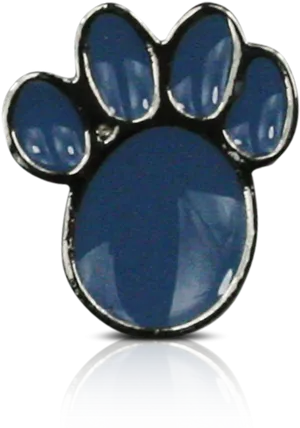 Blue Paw Gemstone Pin PNG image