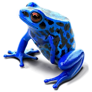 Blue Poison Dart Frog Png Dwv PNG image