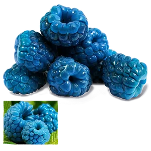 Blue Raspberry Frenzy PNG 81 PNG