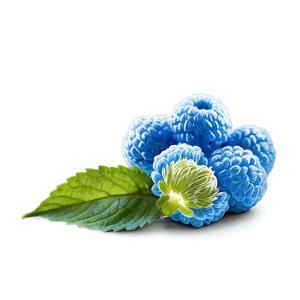 Blue Raspberry Glow PNG Nti23 PNG