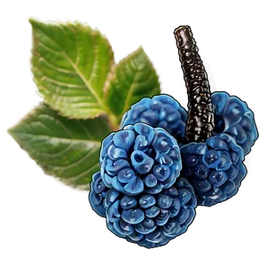 Blue Raspberry Harmony PNG Ouo19 PNG