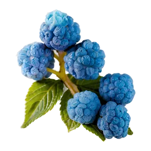 Blue Raspberry Haze PNG 68
