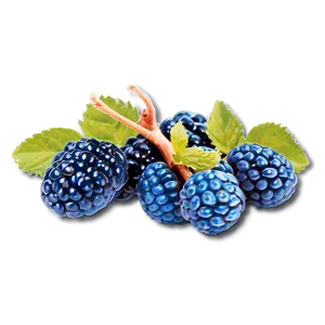 Blue Raspberry Jubilee PNG Ujc17