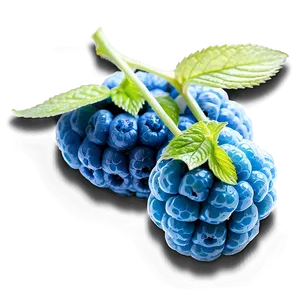 Blue Raspberry Zen PNG 58