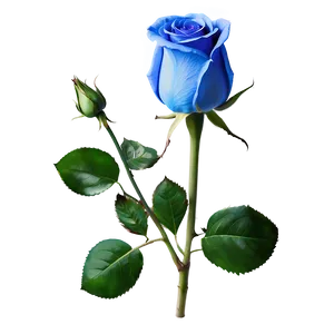 Blue Rose Png Rvp PNG image